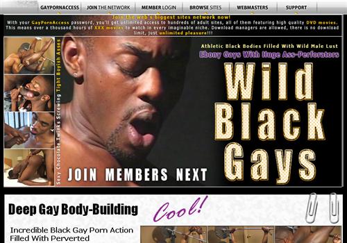 Wild Black Gays